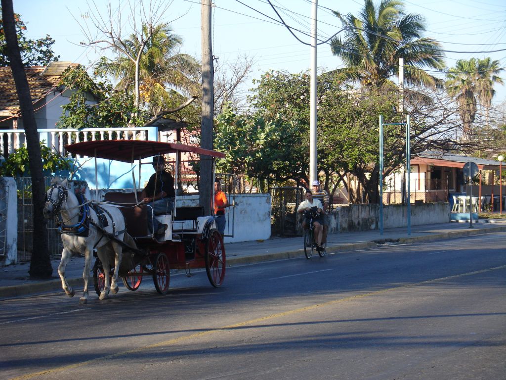 Erste Eindrücke von den kubanischen Verkehrsverhältnissen:<br />In Varadero fahren die Pferdewagen für Touristen, während sie im Rest des Landes nur für Kubaner reserviert sind. Dafür muss man sie hier in Varadero - wie alles - auch in Devisen zahlen.
