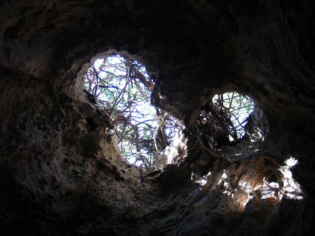 Aus dem Höhleninneren hat man durch einige Löcher einen Blick nach oben.