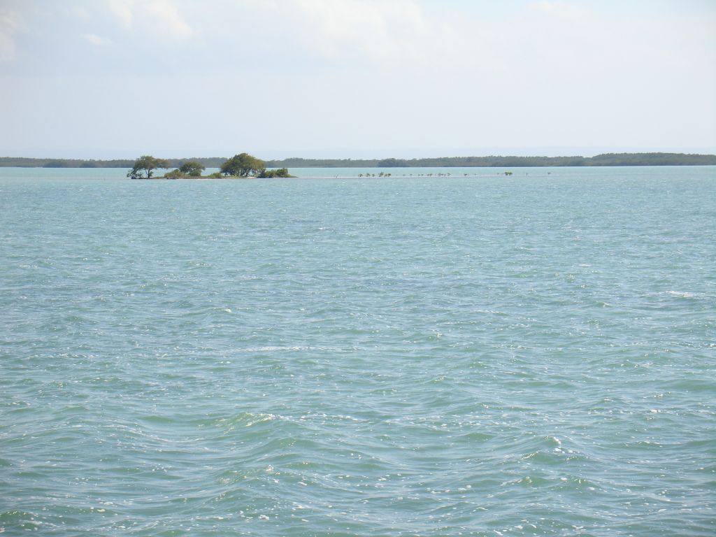 Nach etwa zwanzig Kilometern fingen langsam kleinere Inseln an, und man konnte Mangroven im seichten Meer sehen.