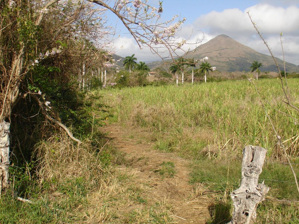 Hinter den Feldern sah man die Berge der Sierra de Escambray, über die ich zurück nach Santa Clara fahren wollte.