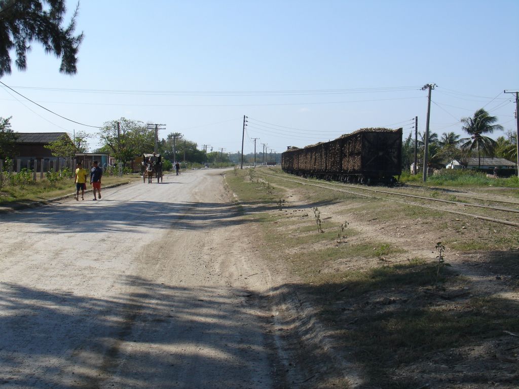 In den Güterwagen des Zuges wurde Zuckerrohr transportiert.