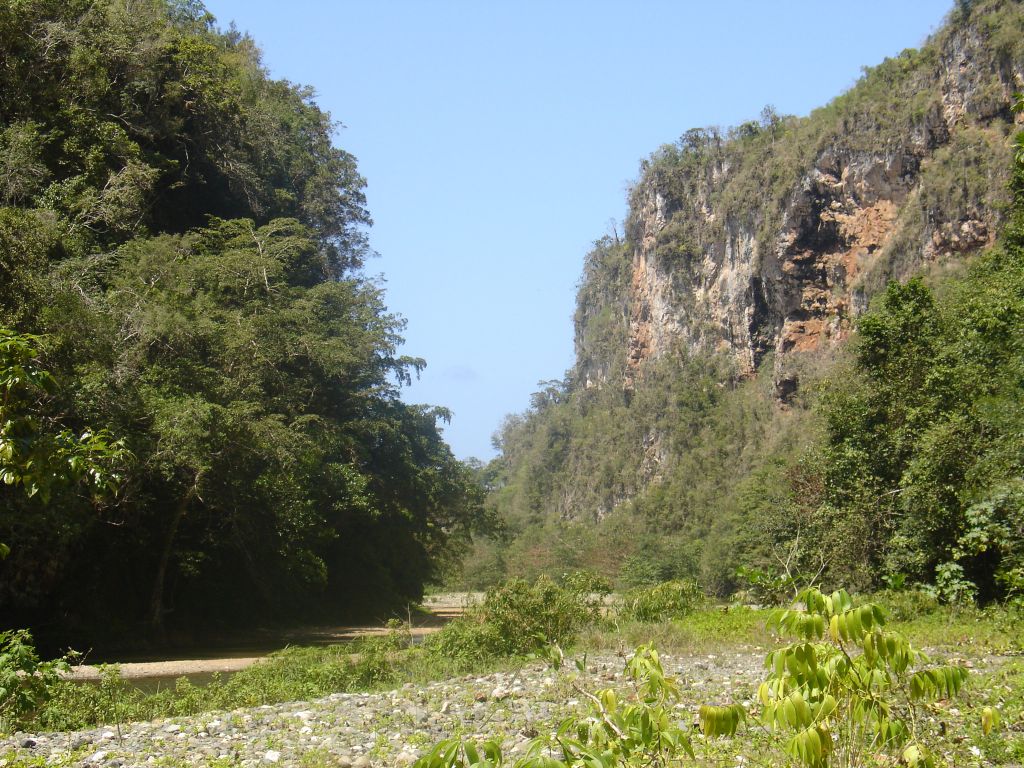 Der Fluss heißt 'Yumurí', weil hier am Rand der Schlucht angeblich eine Gruppe entflohene Sklaven auf der Flucht gerufen haben 'Yo muri' (ich sterbe). Denn sie wollten sich lieber in die Schlucht stürzen als sich von den Weißen gefangennehmen lassen.