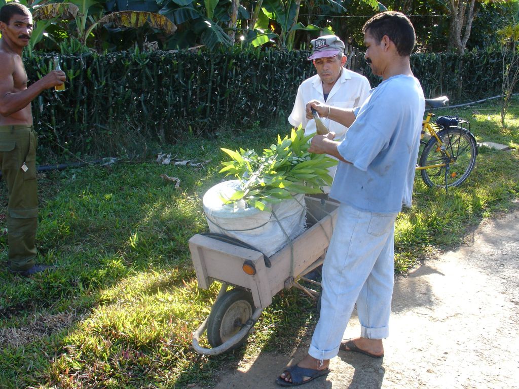 Ein Mann kam die Straße entlang und hat selbstgemachten Guarapo verkauft, also Zuckerrohrsaft. Der gilt als Delikatesse und großer Energiespender.