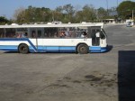 Lokaler Bus