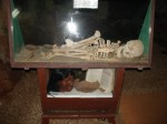 Museum: Skelettfund