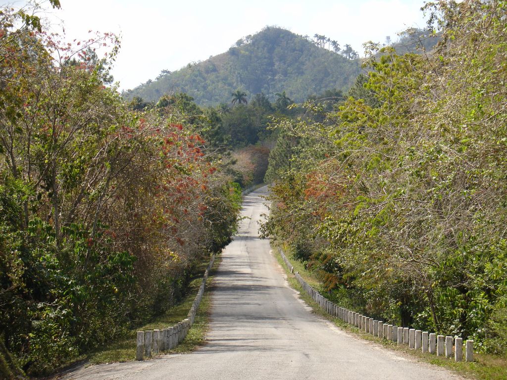 Durch den Wald lief die Straße weiter bergab und bergauf.