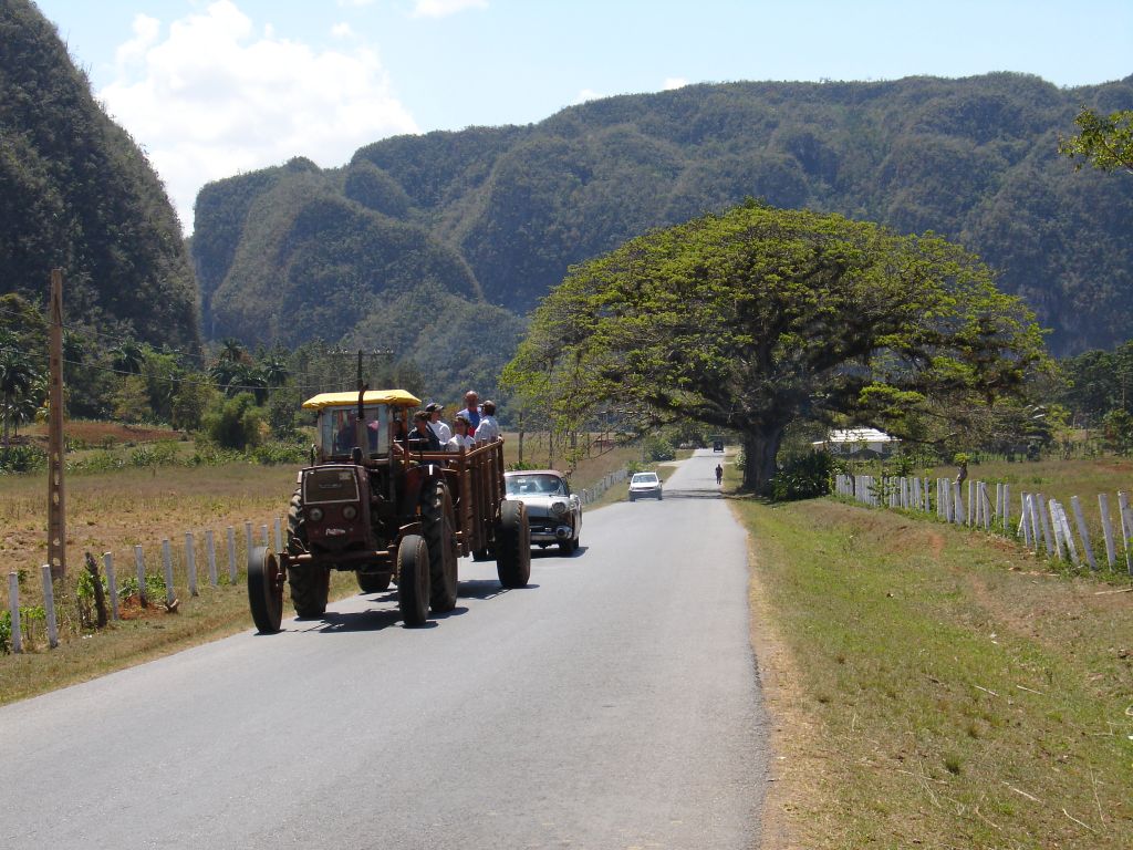 Zurück im Haupttal von Viñales.