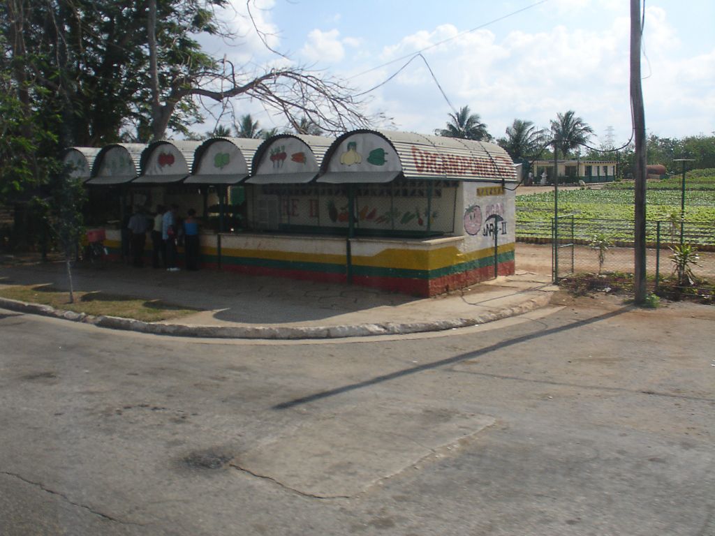 Wie in vielen Städten gibt es auch in Havanna am Ortseingang einen Kiosk zum Verkauf organisch angebauten Gemüses. Der organische Landbau wird in Kuba stark vorangetrieben, da er ohne Kunstdünger und chemische Schädlingsbekämpfungsmittel auskommt, die der Staat gegen Devisen im Ausland teuer einkaufen müsste.