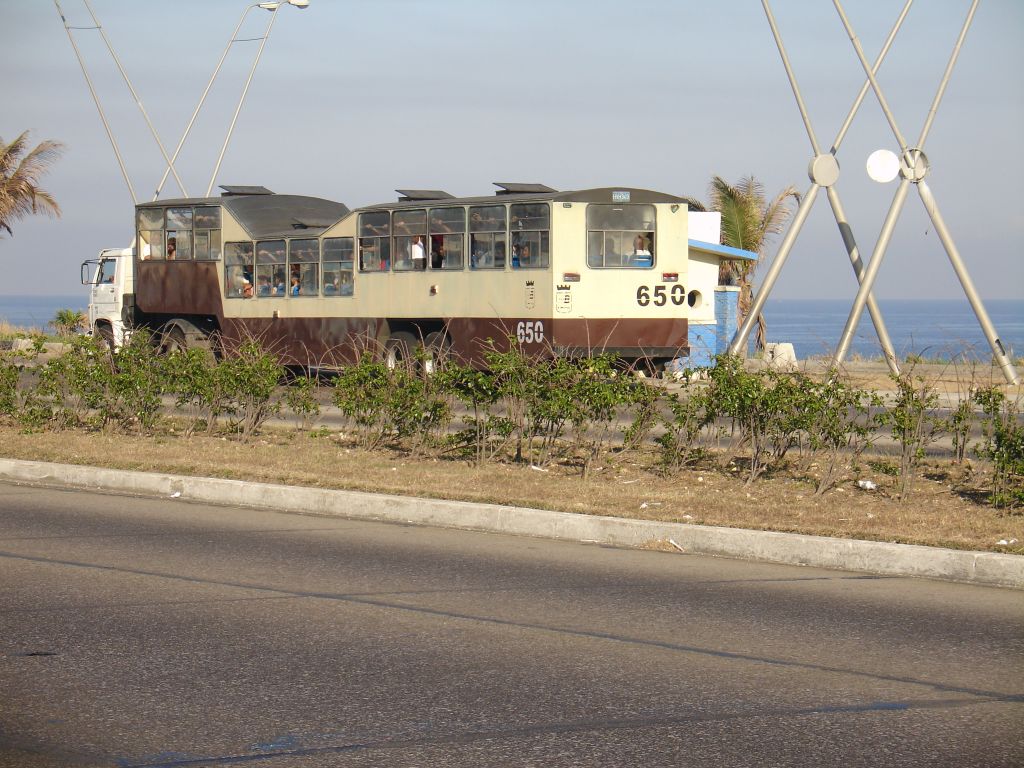 In Havanna verkehren viele Camelos, Busse, die wegen ihrer zwei 'Höcker' Kamele heißen und deutlich mehr Personen transportieren können als normale Busse.