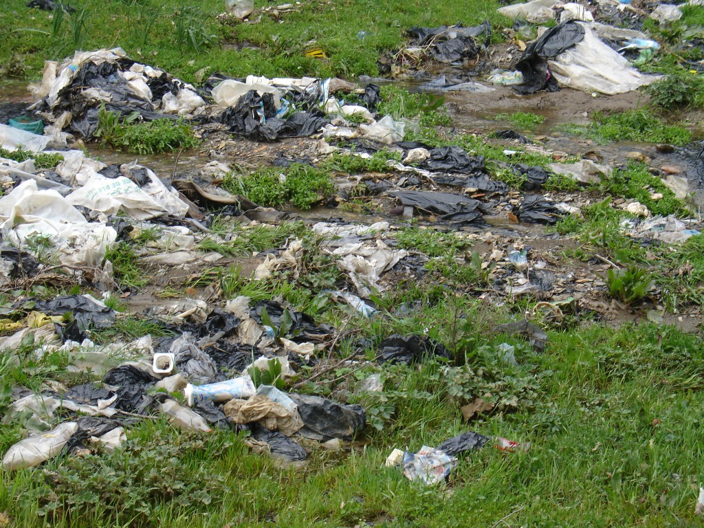 Die Überschwemmung durch den Regen hat den Müll auf dieser Wiese zusammengetrieben.