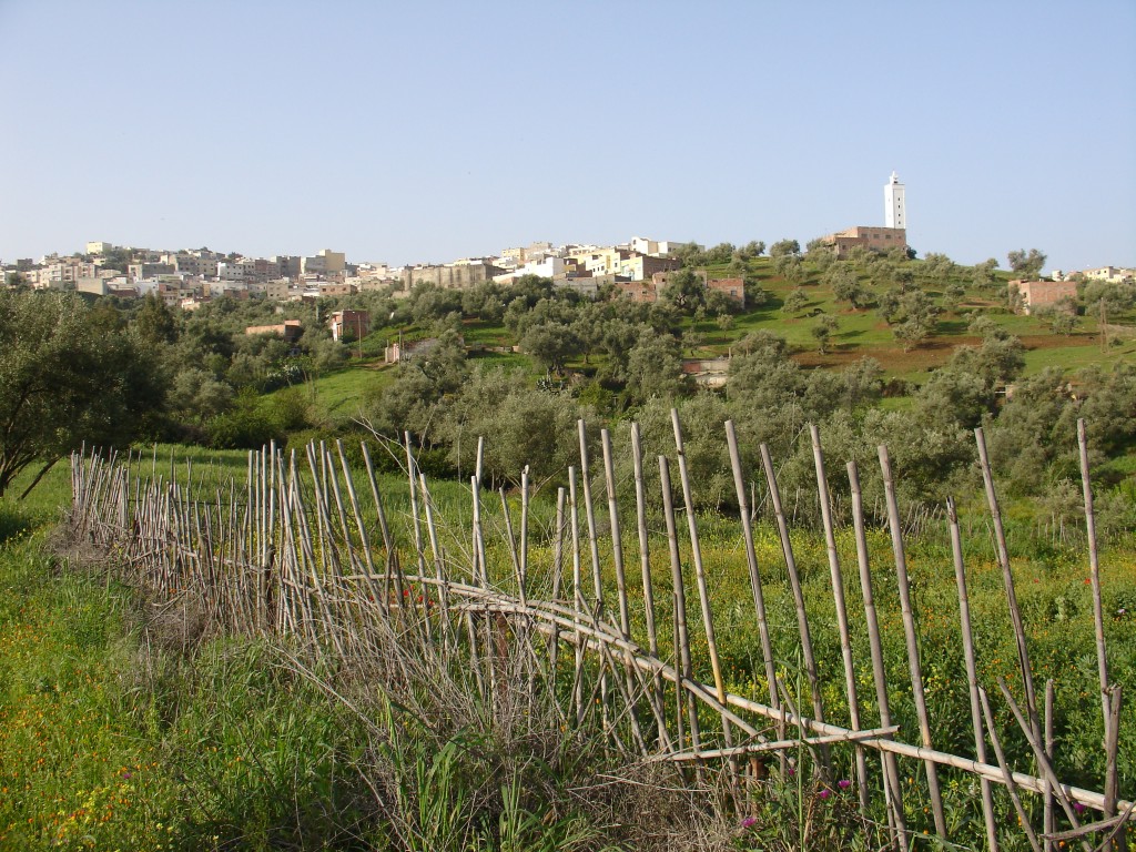 Die Stadt Taounate ist von Feldern umgeben.