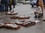 Fischverkäufer im Hafen von Al Hoceima