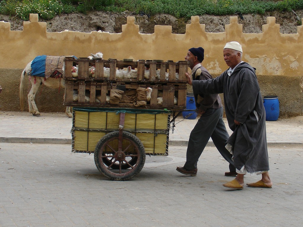 Auch lebende Hühner werden auf Handkarren in die Altstadt transportiert.