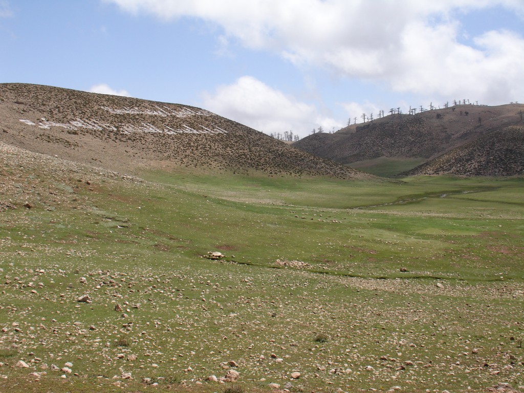 Das Hochtal war nur mit Gras dünn bewachsen.