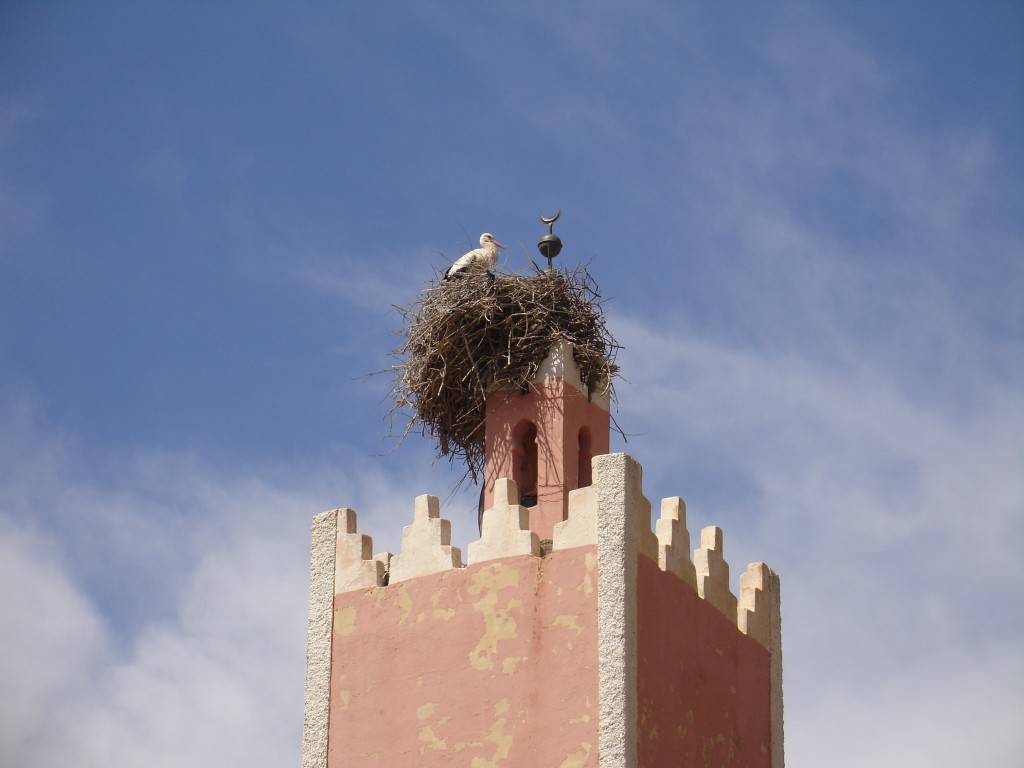 Auf einem Minarett hatte ein Storch sein Nest gebaut.