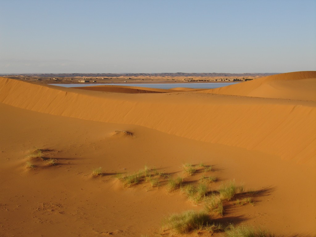 Hinter den Sanddünen gab es einen See, der schon einige Monate bestand und nicht erst durch die Regenfälle der letzten Wochen entstanden war.