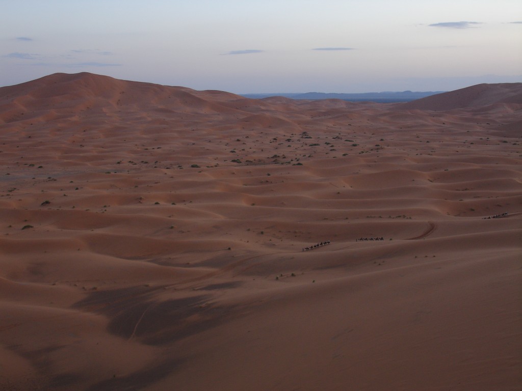 Es kamen immer noch weitere Touristengruppen auf Dromedaren ins Lager.<br />Die Berge im Hintergrund sind übrigens schon in Algerien.