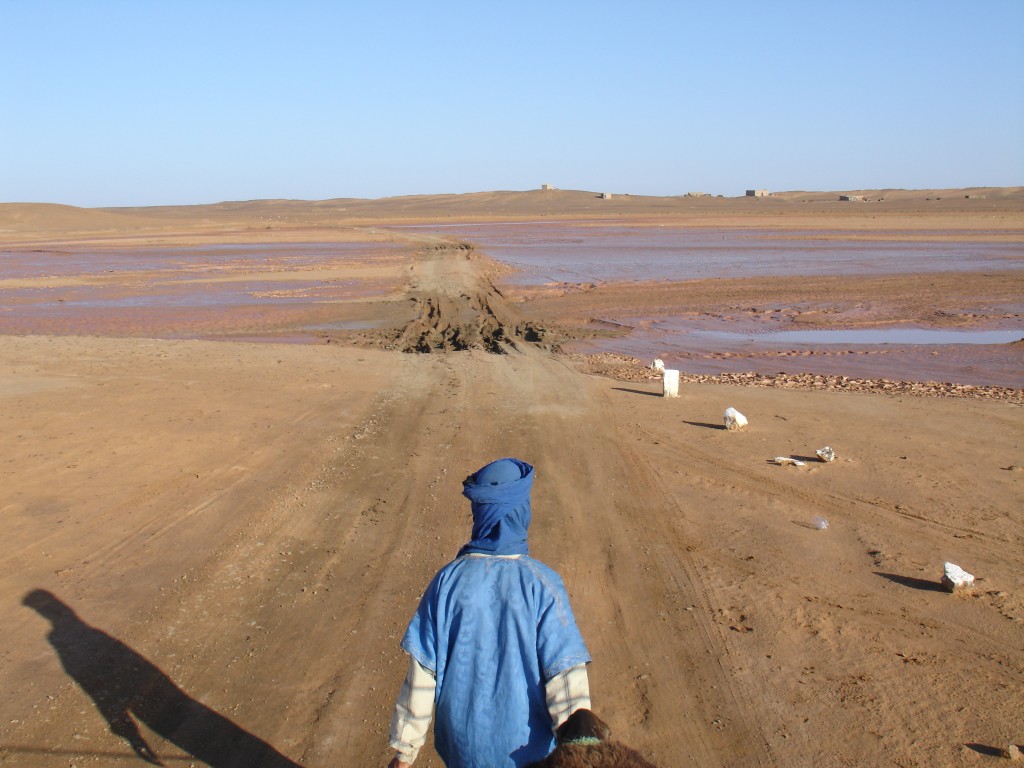 Langsam waren wir aus dem Sanddünenbereich heraus.