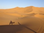 Sandwüste mit Schatten