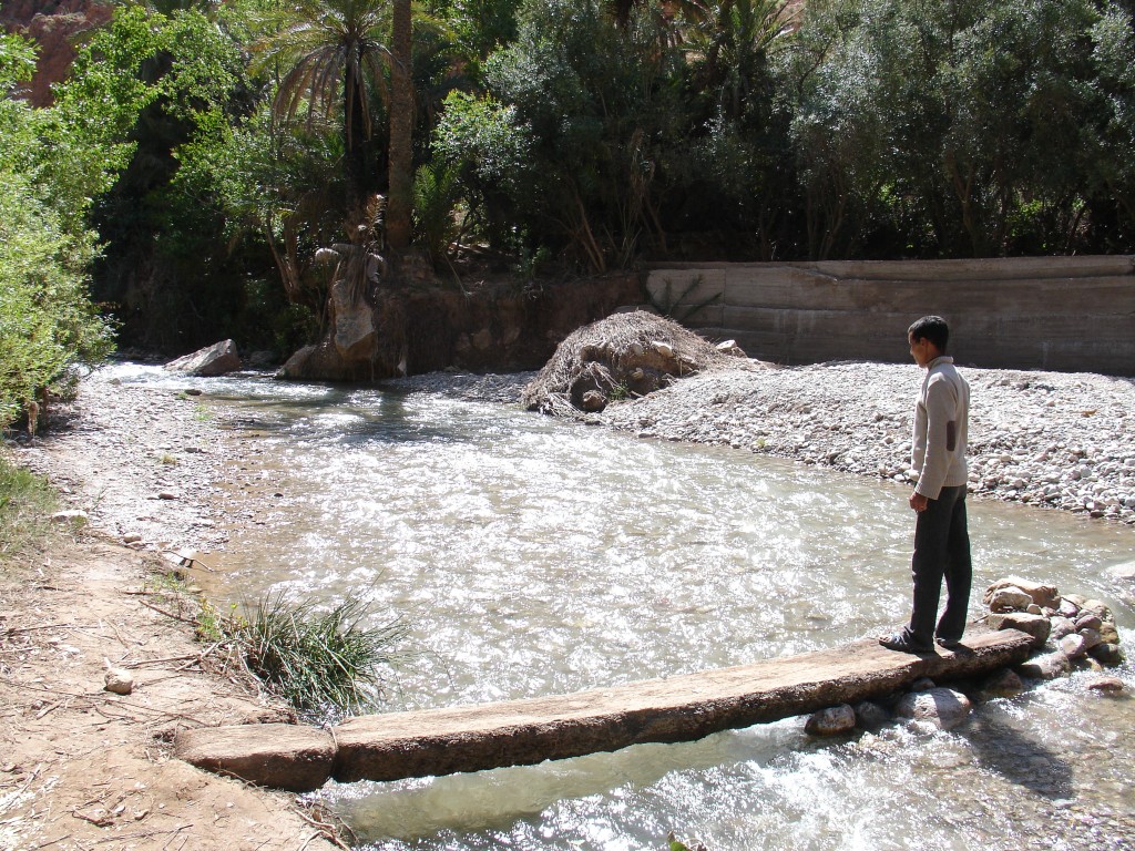 Der Fluss Todra, der diese Palmengärten bewässert, wird immer wieder von Stegen oder Wegen, wo einige Steine im Wasser liegen, gequert.