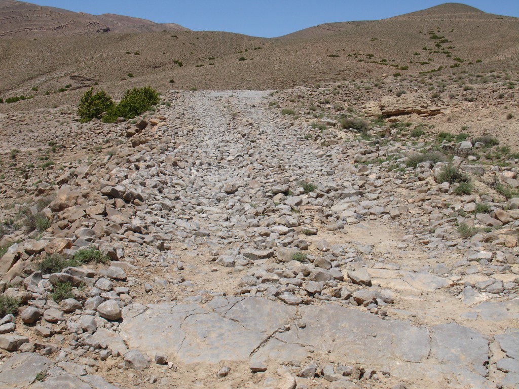 Die Piste bestand zum Teil aus groben Steinen.