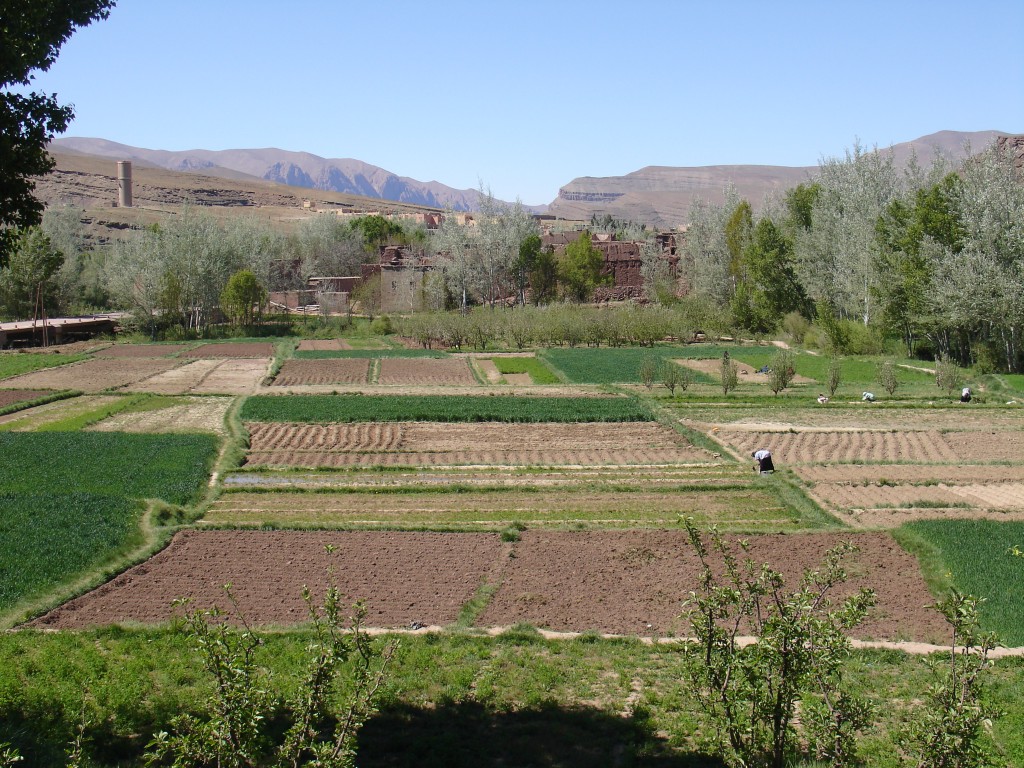 Die Bäche und Flüsse erlauben hier eine Feldwirtschaft.
