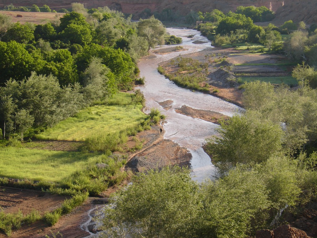 Der Fluss fließt durch die grüne Landschaft.