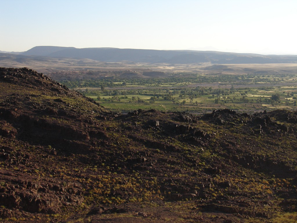 Das Tal des Flusses Ouarzazate ist grün, eine Wohltat nach all der trockenen Wüstenlandschaft.