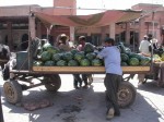 Melonenhändler