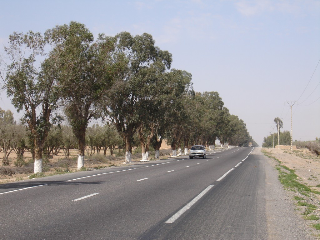 Von Marrakesch bin ich nach Westen nach Essaouira gefahren. Die Straße war eben, was ich gar nicht mehr gewohnt war.<br />Der Verkehr war auf den ersten siebzig Kilometern ziemlich stark.