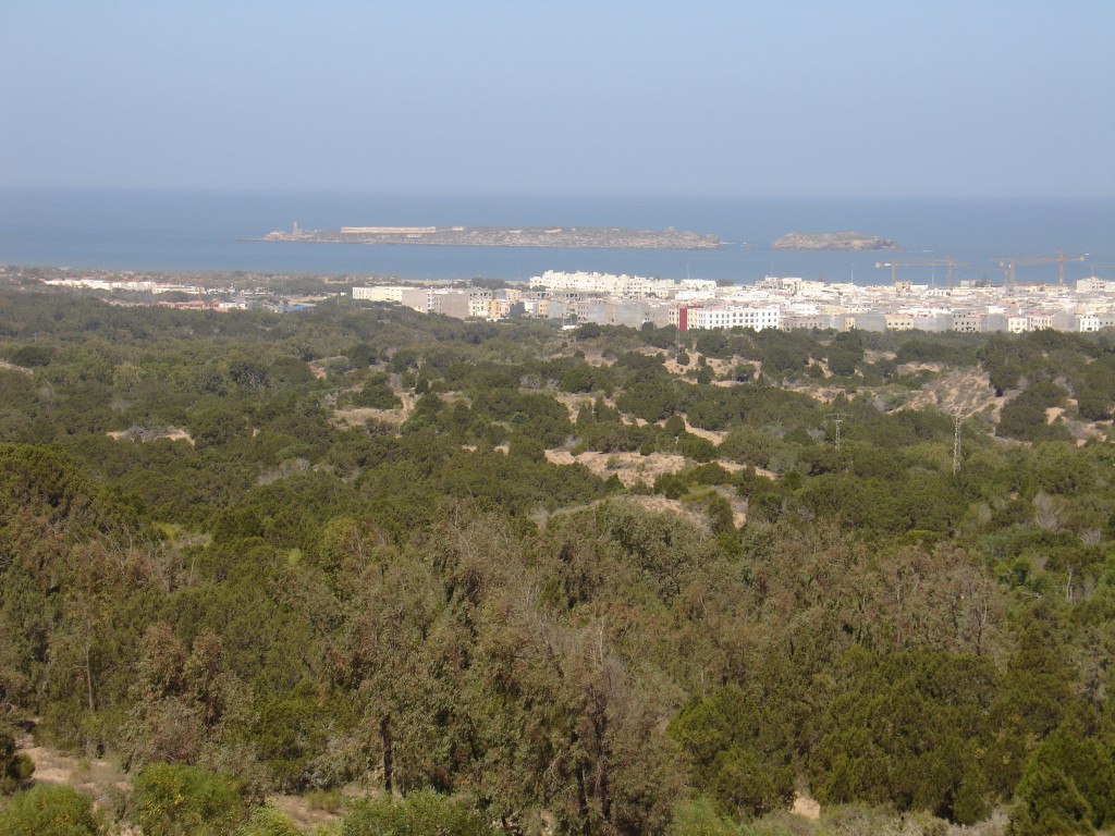 ... einen ersten Blick auf die Küstenstadt Essaouira werfen.