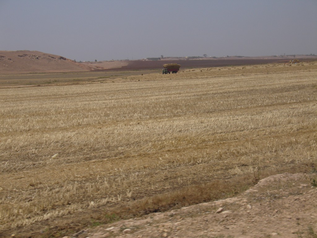 Die Straße ging an vielen großen Feldern entlang.