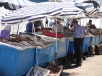 Fischverkaufsstände