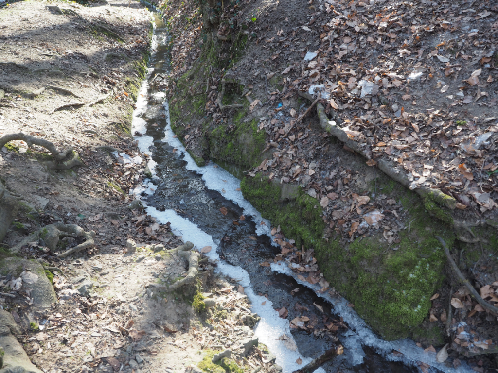 Am Mühlenbach am Zulauf zum Wasserfall gab es seitlich etwas Eis.