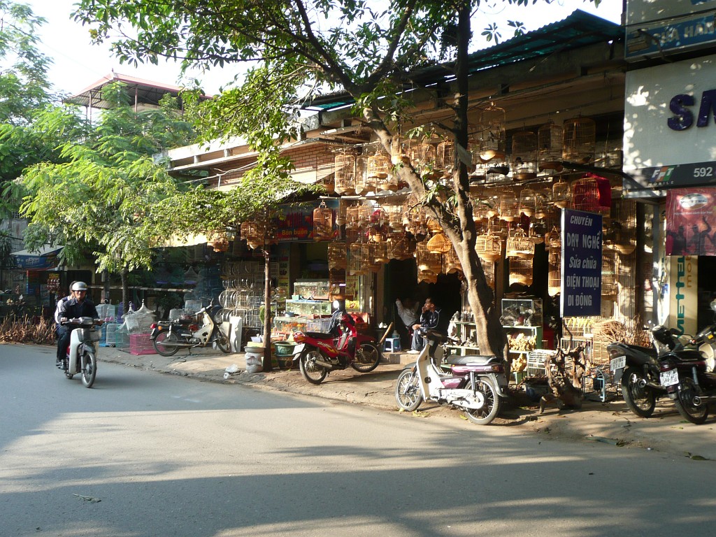 In der Altstadt und einigen Gassen im Umkreis sind traditionell gleichartige Läden in einer Straße angesiedelt - hier die Straße der Käfighändler.